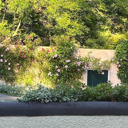 ラーン Old Mill House Bed & Breakfast エクステリア 写真