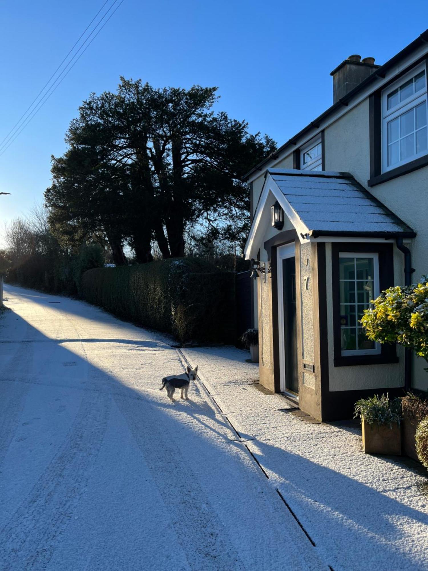 ラーン Old Mill House Bed & Breakfast エクステリア 写真