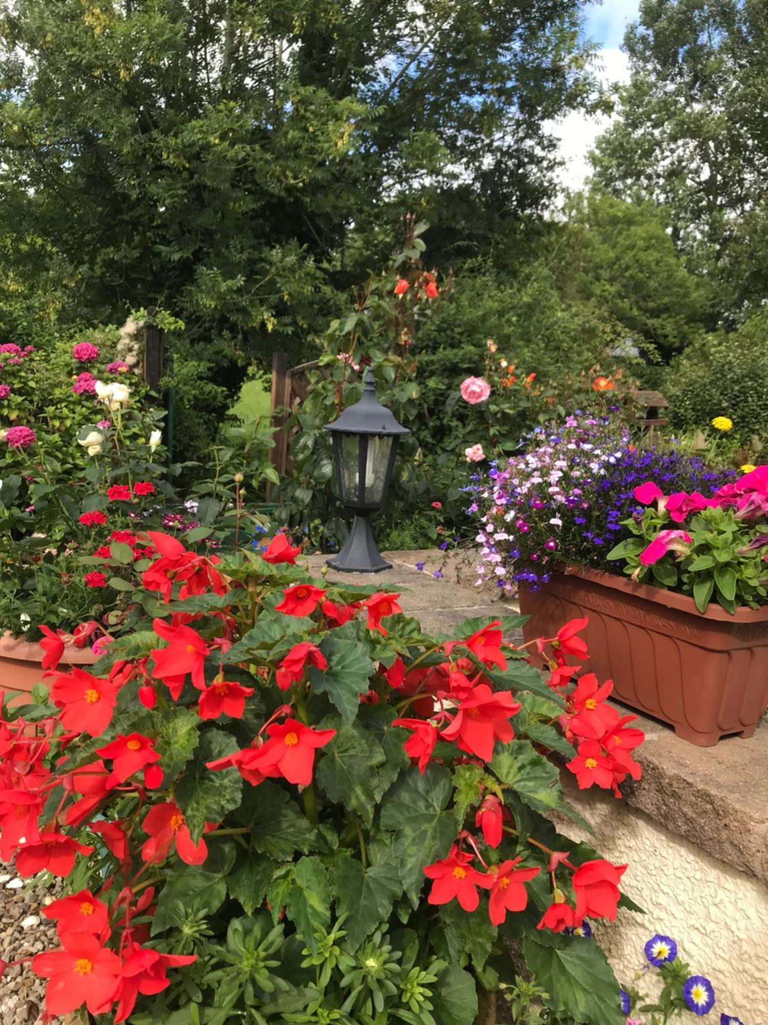 ラーン Old Mill House Bed & Breakfast エクステリア 写真